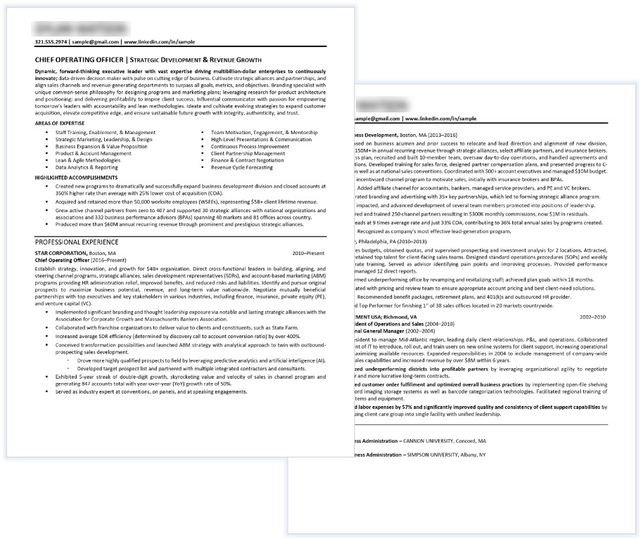 executive resume sample